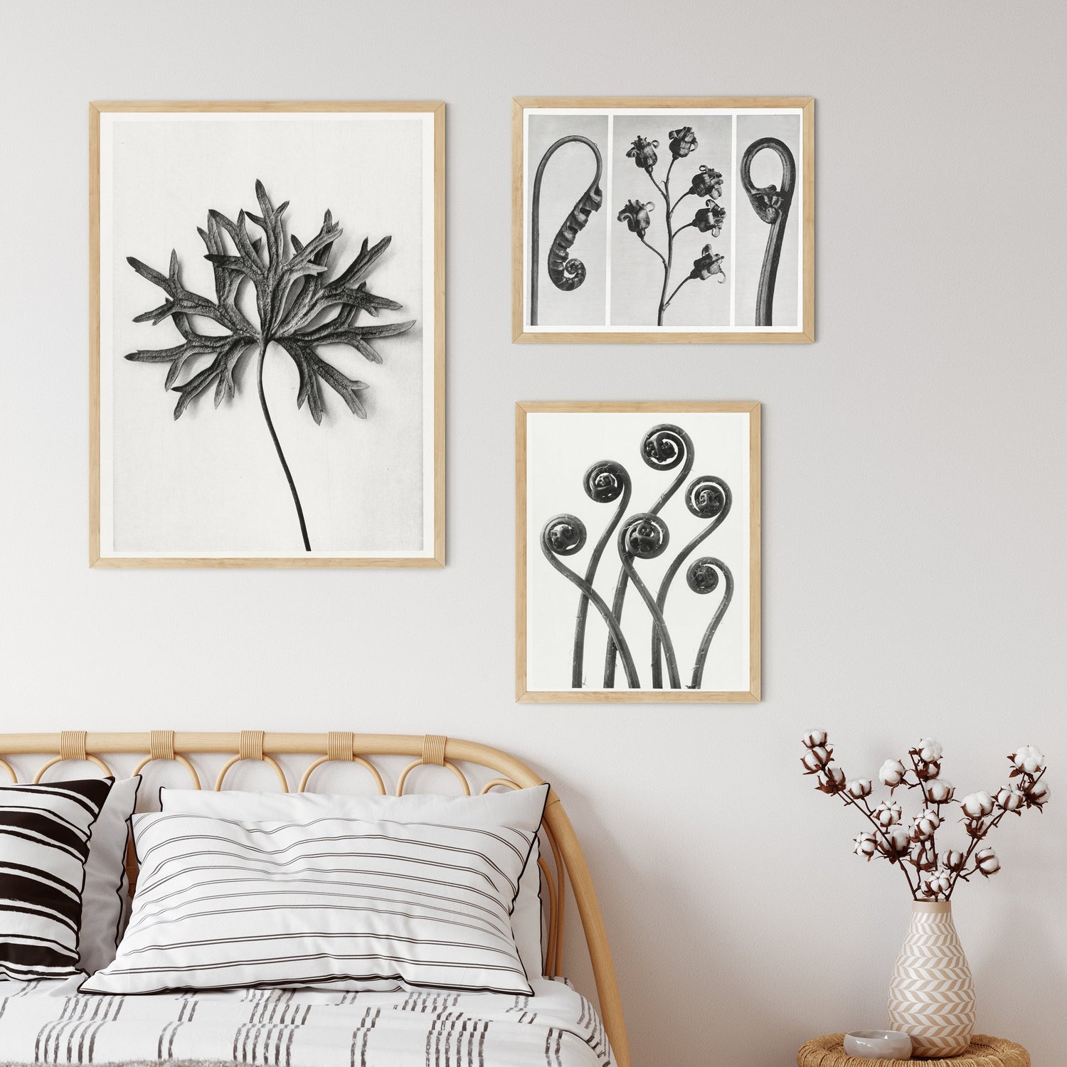 Black and White Prints | Room View With Frames