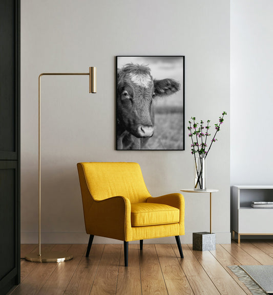 Black and White Cow Portrait Wall Art Print