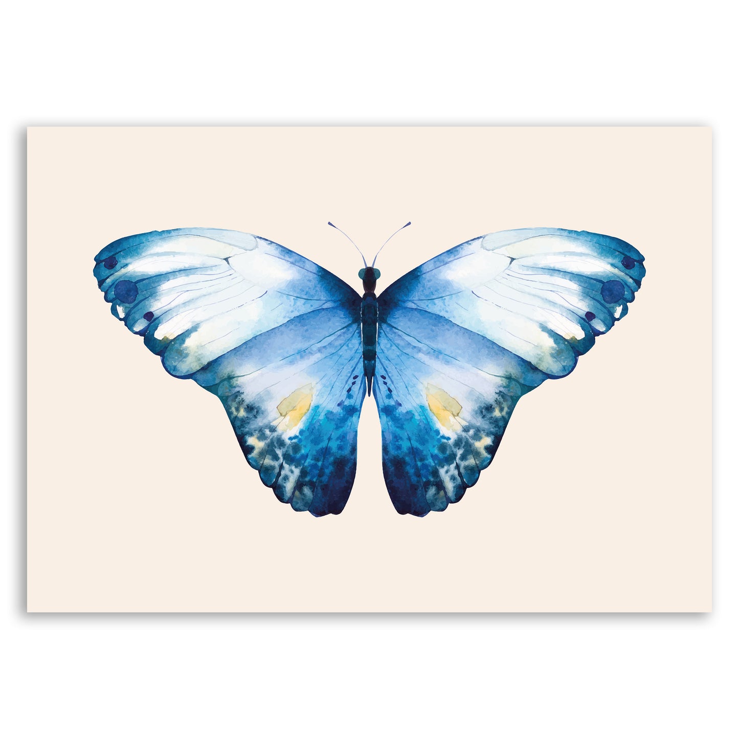 Blue Butterfly Wall Print – Nature-Inspired Art