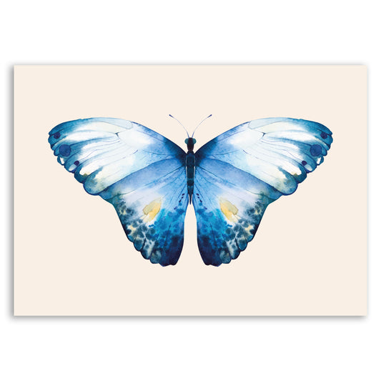 Blue Butterfly Wall Print – Nature-Inspired Art