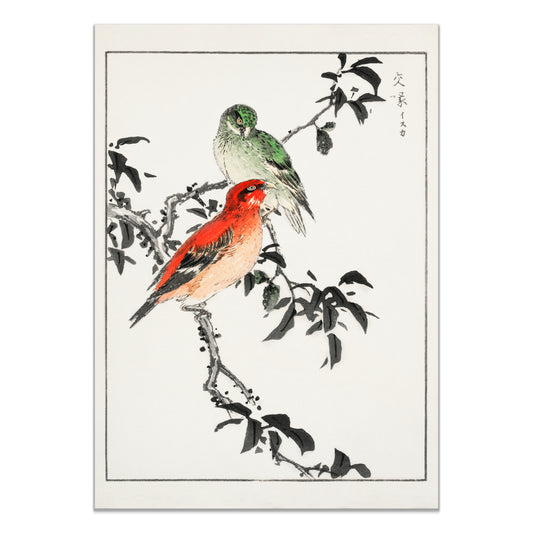Crossbill illustration. Pictorial Monograph of Birds (1885) by Numata Kashu (1838-1901)
