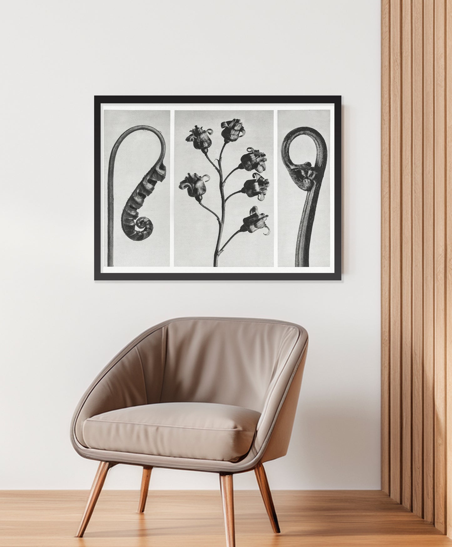 Botanical Forms – Black and White Triptych Wall Art Print
