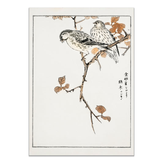 Siskin and Euonymus Alata illustration. Pictorial Monograph of Birds (1885) by Numata Kashu (1838-1901)