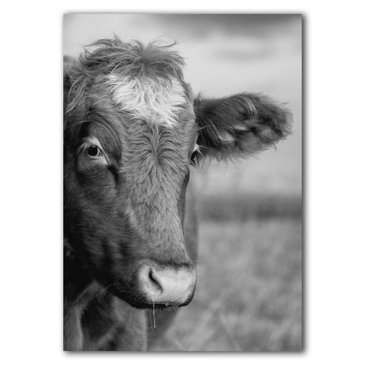 Black and White Cow Print - Front View