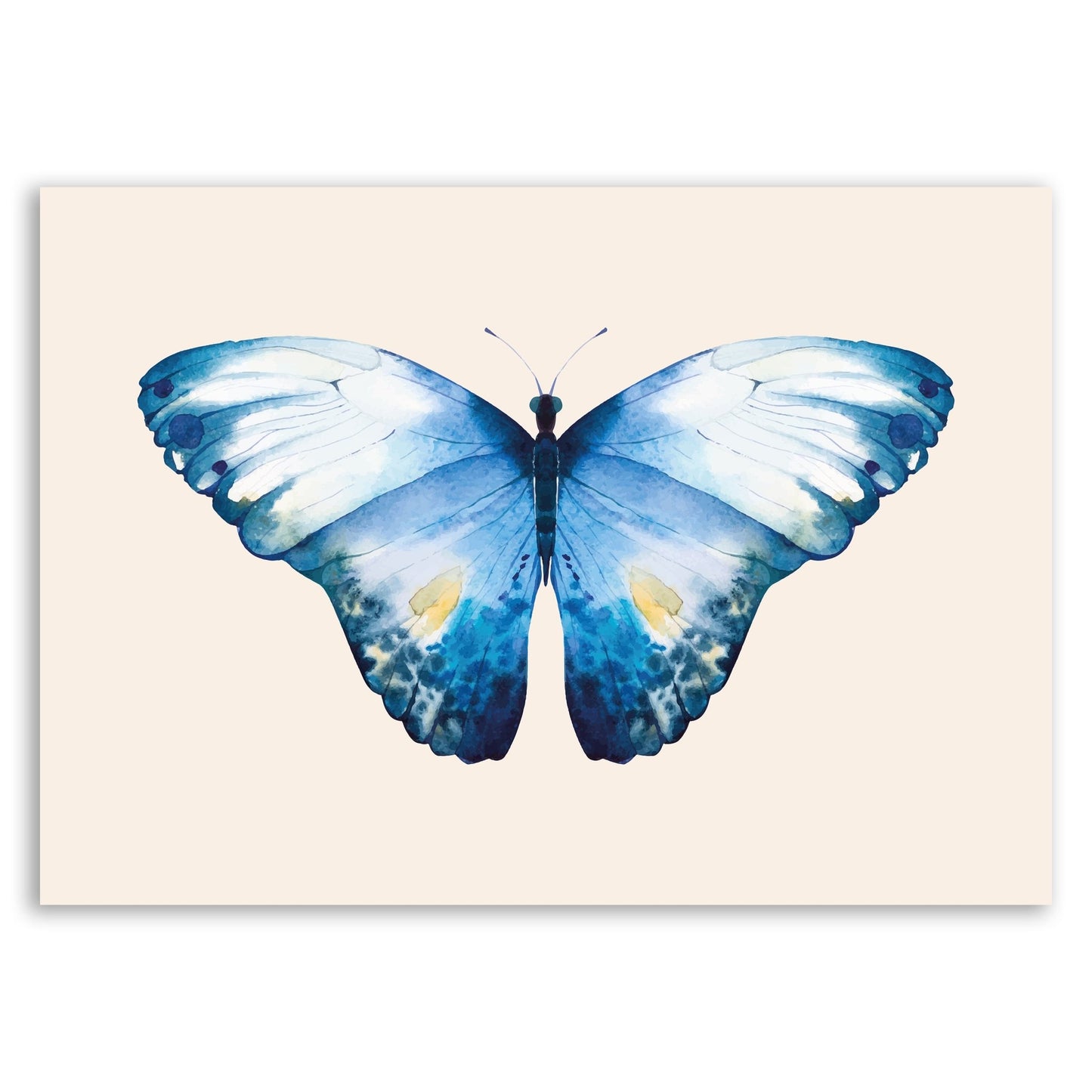 Blue Butterfly Wall Print – Nature - Inspired Art - The Print Vault