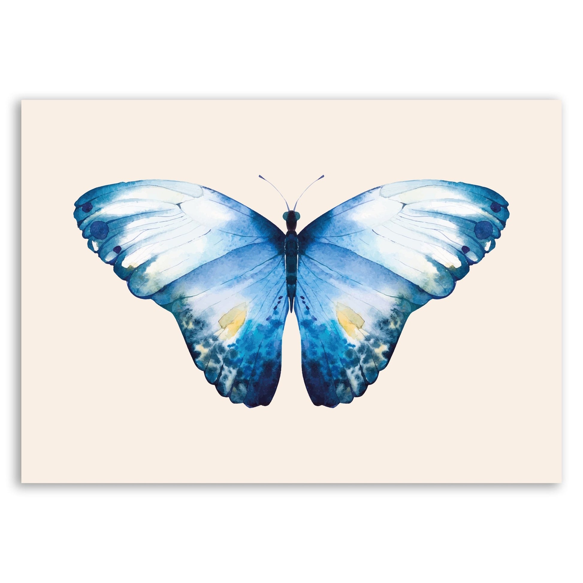 Blue Butterfly Wall Print – Nature - Inspired Art - The Print Vault