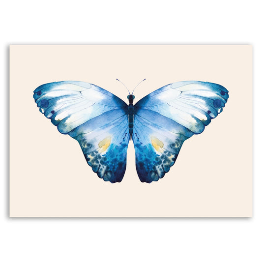 Blue Butterfly Wall Print – Nature - Inspired Art - The Print Vault