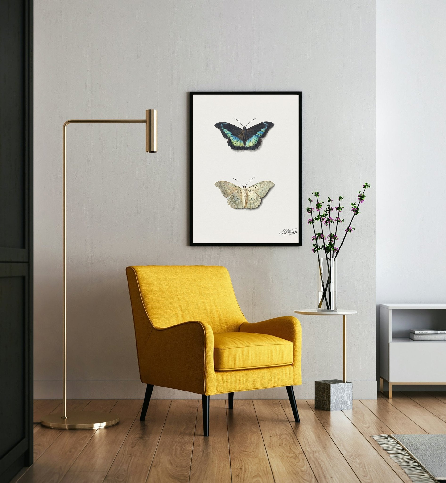 Butterflies, Boven - en onderaanzicht van een vlinder by Georgius Jacobus Johannes van Os (1782–1861) - The Print Vault