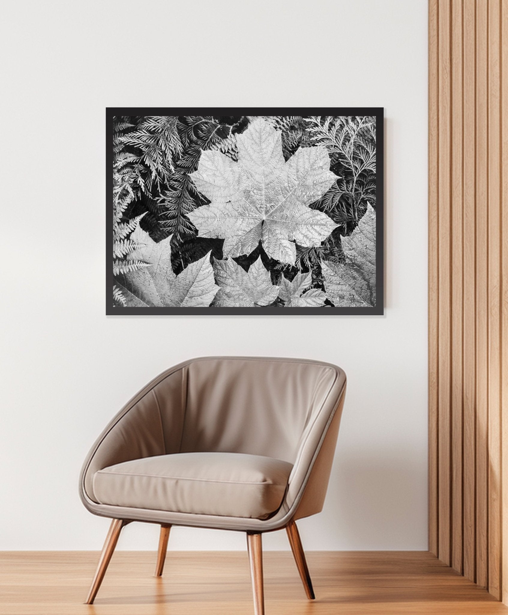 Ansel Adams Prints - Close - Up of Leaves, Glacier National Park – Room View