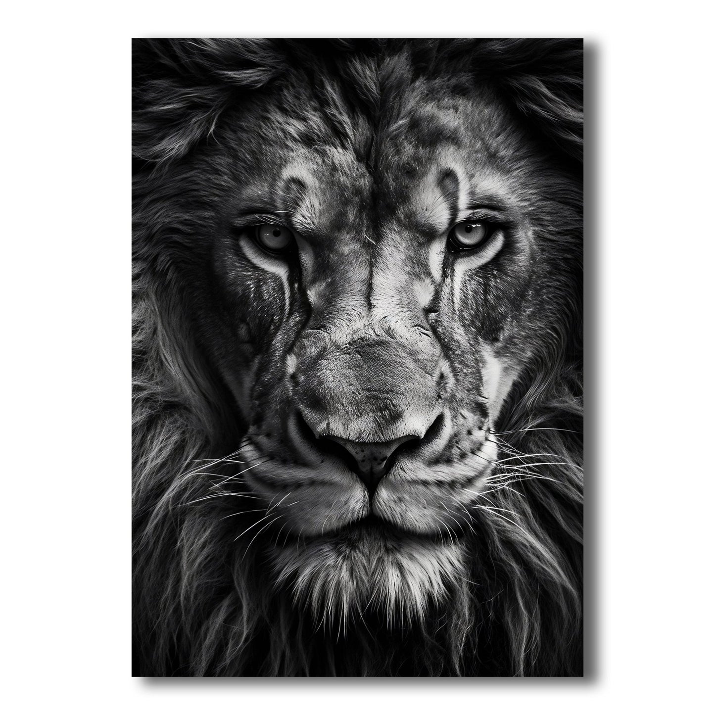 Black and White Prints - King’s Stare – Front View