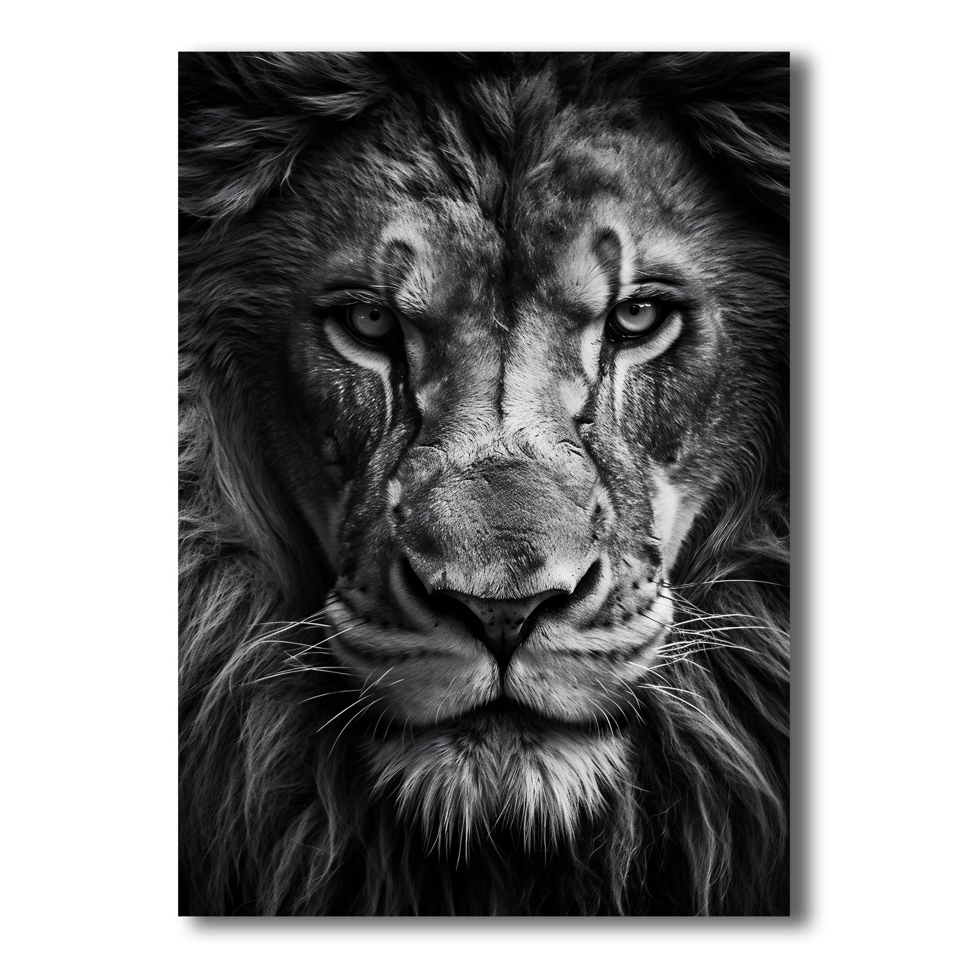 Black and White Prints - King’s Stare – Front View