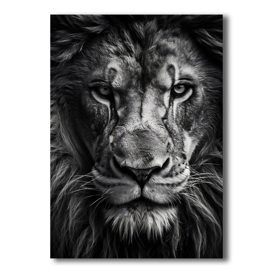 Black and White Prints - King’s Stare – Front View
