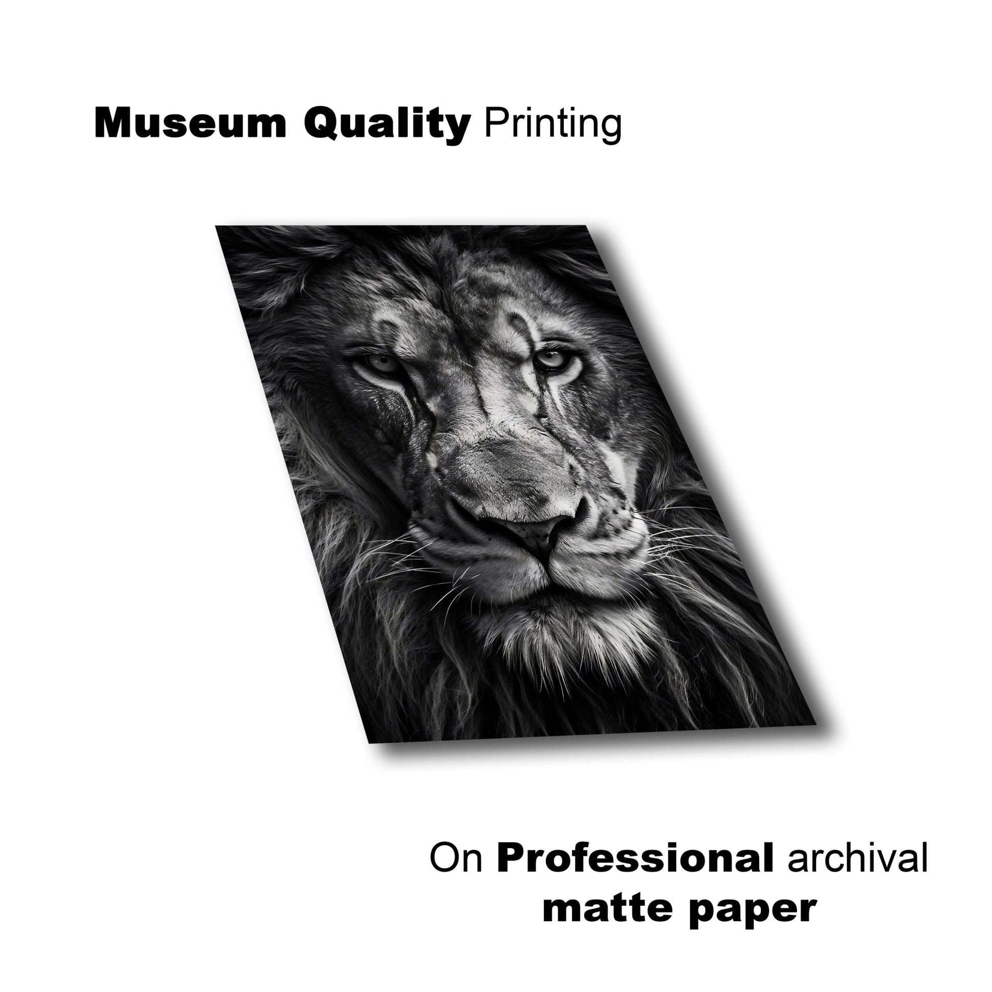 Black and White Prints - King’s Stare – Lay Flat View