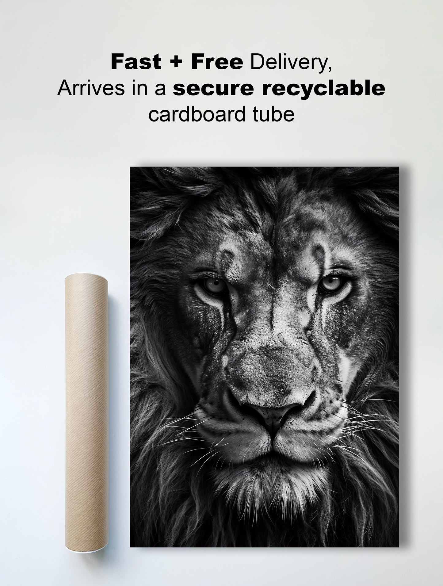 King’s Stare – Black and White Lion Portrait Wall Art Print