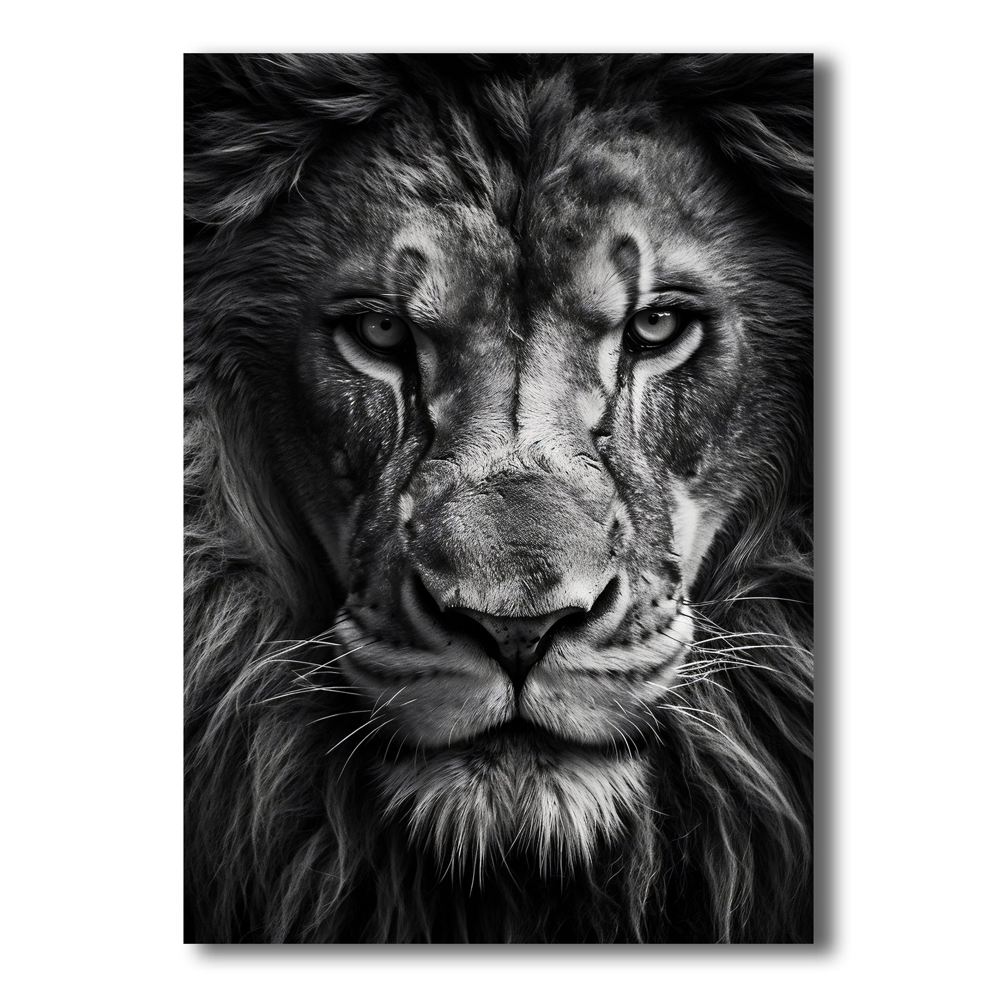 King’s Stare – Black and White Lion Portrait Wall Art Print