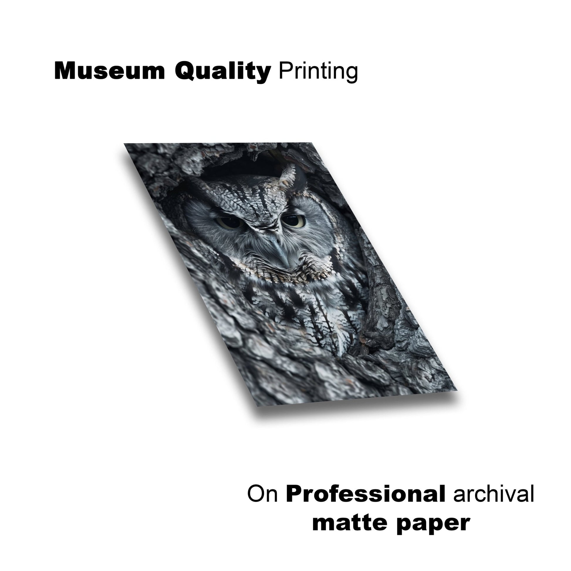 Black and White Prints - Silent Watcher – Lay Flat View