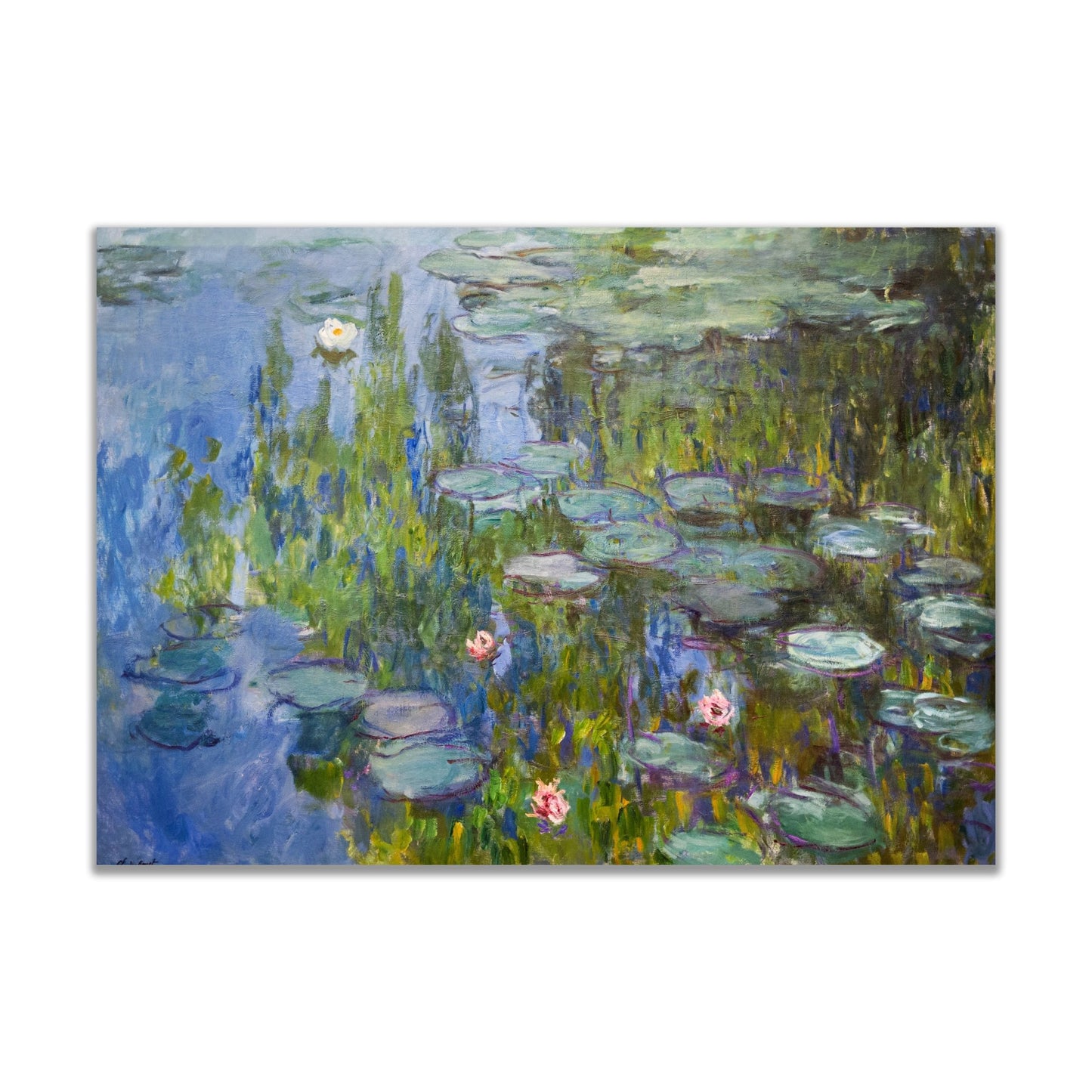 Water Lilies (1915) by Claude Monet - The Print Vault