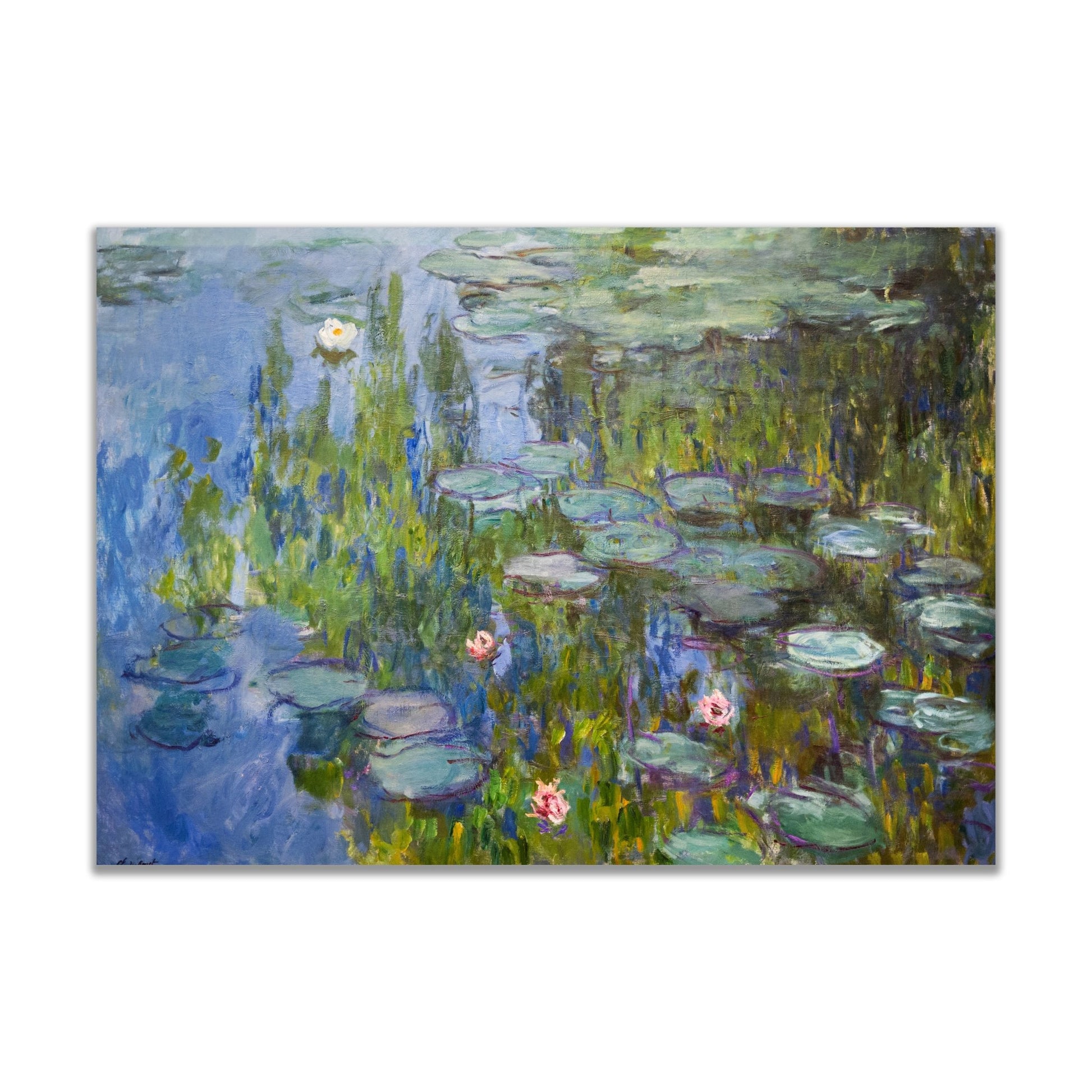 Water Lilies (1915) by Claude Monet - The Print Vault